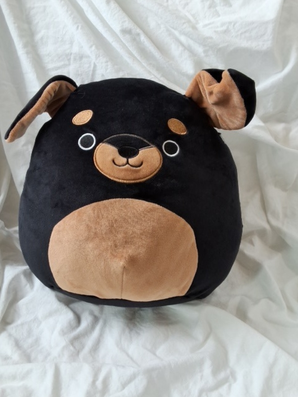 Squishmallows 12 " Mateo The Rottweiller, HTF, NWT